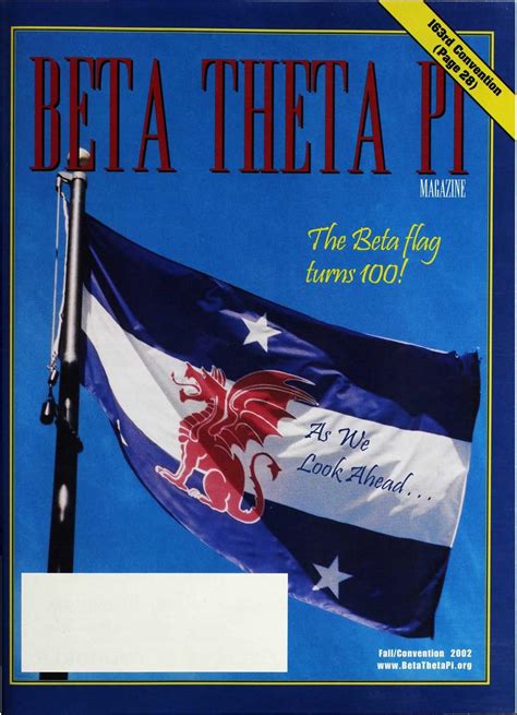 Barton Twins Bikini Flag