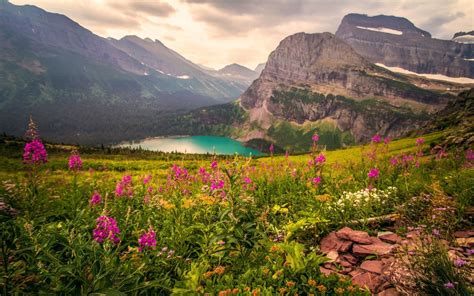 Mountains With Flowers Wallpapers Top Free Mountains With Flowers