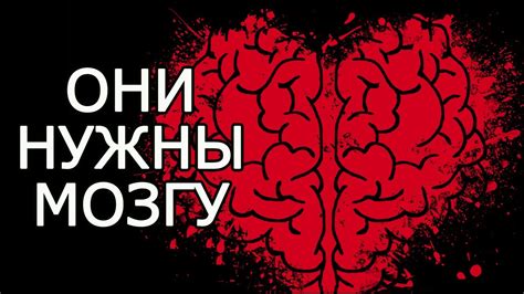 Эти 7 МУДРЫХ мыслей помогут тебе стать успешным человеком – Умные мысли ...