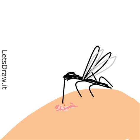 How To Draw Mosquito Oetpkzn Png Letsdrawit