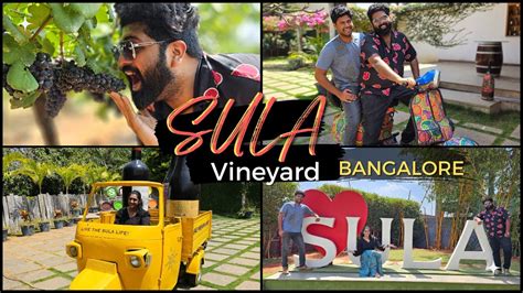 Sula Vineyard Tour Bangalore Wine Tasting Vineyard Restaurant