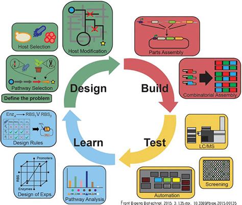 Metabolic Engineering Of Added Value Compounds