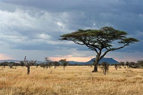 7 natural wonders of Africa