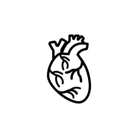 Heart Man Heart Human Heart Icon Vector Art At Vecteezy