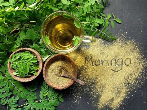 Beneficios Que Debes Conocer De La Moringa Aggregatte