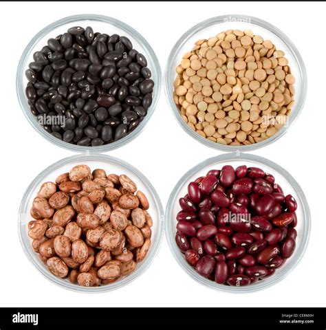 Black Beans Red Beans Pinto Beans And Lentils Photographed In Round