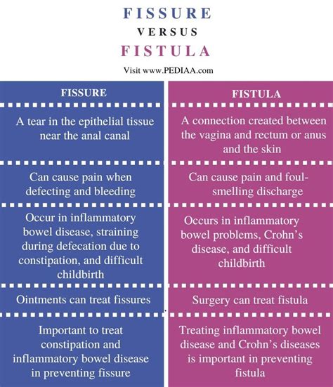 What Is The Difference Between Fissure And Fistula Pediaa Hot Sex Picture