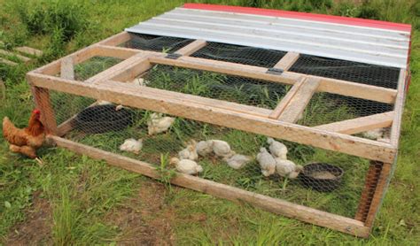 Diy Chicken Tractor Plans Natural Living Homestead