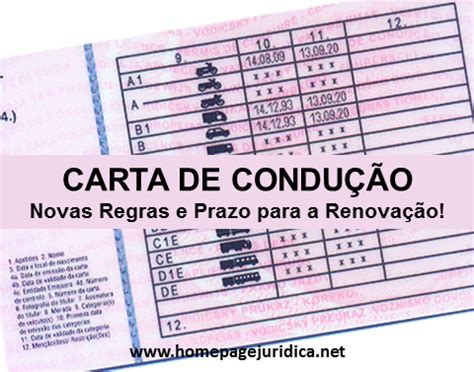 Carta de Condução Novas Regras e Prazo para a Renovação