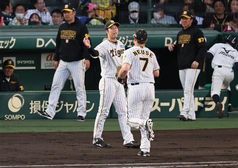 【虎になれ】ノイジーのプレーが流れを変えた 明暗分けた“薄暮”の甲子園での守備 虎だ虎だ虎になれ！ 野球コラム写真ニュース 日刊スポーツ