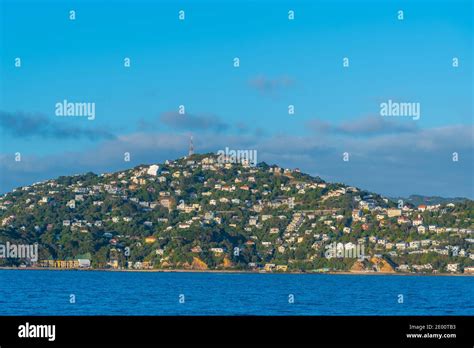 Residential houses around Wellington, New Zealand Stock Photo - Alamy