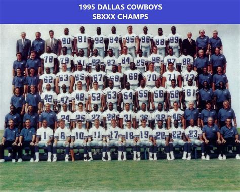 1995 NFL Season Recap — zmiller82 on Scorum