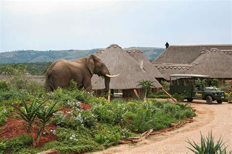 Pumba Bush Lodge in the Eastern Cape, South Africa