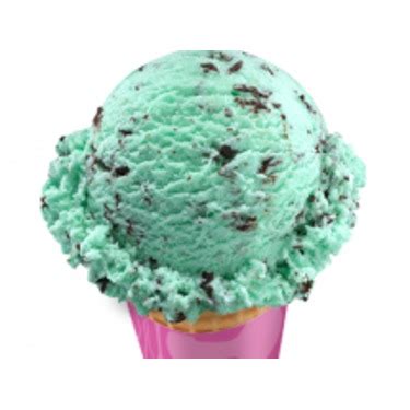 Baskin Robbins Mint Chocolate Chip Ice Cream reviews in Ice Cream ...