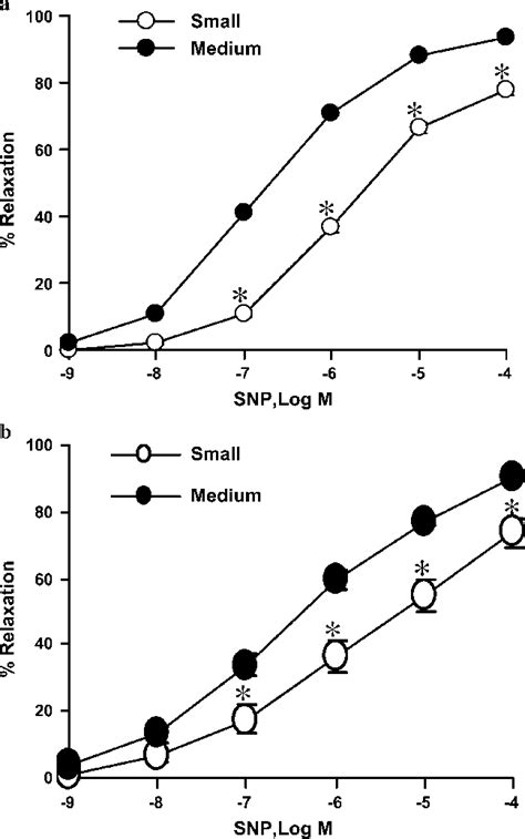 A Concentration Dependent Relaxation Caused By SNP 10 29 10 24 M N