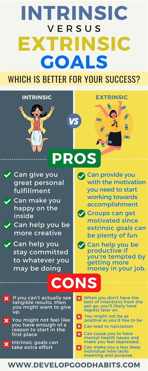 Intrinsic VS Extrinsic Goals Which Is Better For Your Success