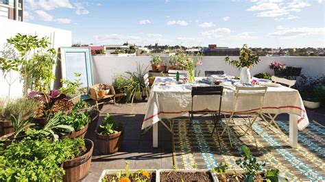 Rooftop Gardens Ideas Hawk Haven