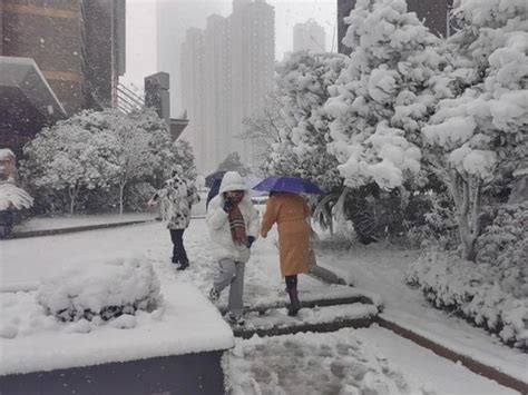 刚刚，赣州都下雪了！一夜暴雪！此刻的江西手机新浪网