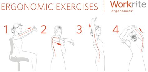 Office Ergonomics Exercises