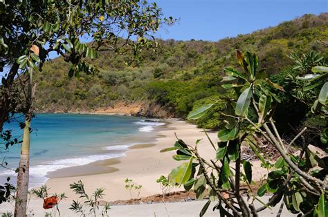 Seasonal Offers - Real Grenadines