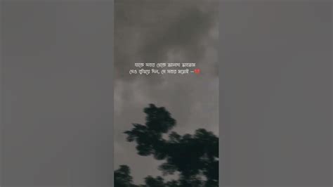 যাকে সবার থেকে😏 আলাদা মনে করছিলাম সেও বুঝিয়ে দিয়েছে সে সবার মতো 😅