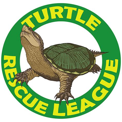 Volunteer at Turtle Rescue League! - Turtle Rescue League