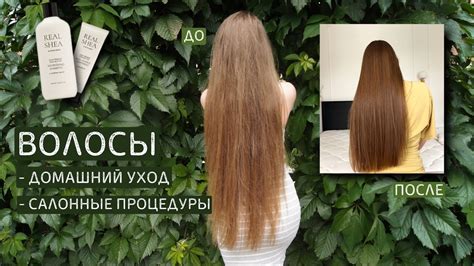 уход для волос | кератин сжег волосы | не трать деньги на эти бьюти ...
