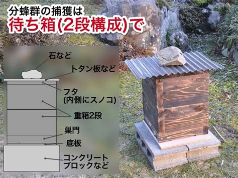 ニホンミツバチの重箱式巣箱蜂箱、養蜂箱の作り方 週末養蜂家のニホンミツバチのおいしいはちみつ 養蜂箱 ニホンミツバチ 養蜂