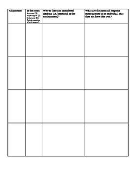 Naked Mole Rats Evolutionary Wonders By Biophilia TPT