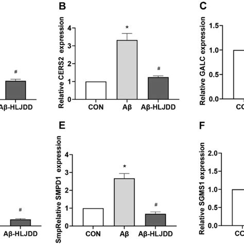 Transcription Levels Of Sphingolipid Metabolizing Enzymes In BV2