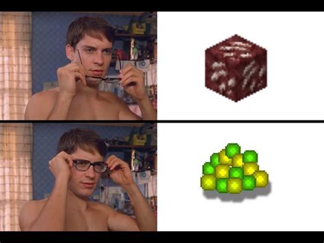 I Have No Interesting Captions To Say R MinecraftMemes Minecraft Know