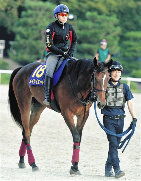 引退レースにのぞむメイケイエール、池添「相変わらず、いい動き」悲願g1制覇へ「運が向いてほしい」【高松宮記念】：中日スポーツ・東京中日スポーツ