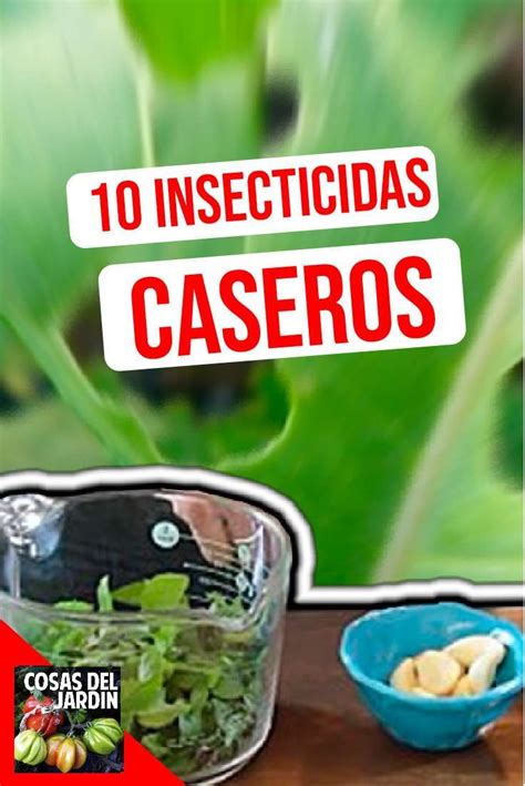 10 Insecticidas Caseros Orgánicos Para Controlar Las Plagas De Tu Huerto O Jardín Cosas Del