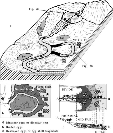 Schematic diagram of one edge of an alluvial plain, which developed ...