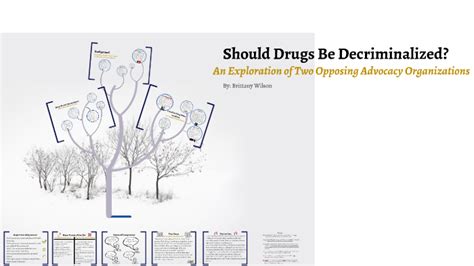 The Decriminalization Of Drugs By Brittany Wilson