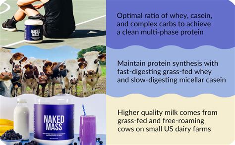 Naked Mass Natural Weight Gainer Protein Powder Lb Bulk GMO Free Gluten Free Soy Free