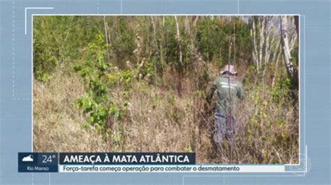 For A Tarefa Come A Opera O Para Combater O Desmatamento Da Mata