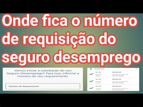 Numero Do Requerimento Seguro Desemprego Não Encontrado - Onde fica o número de requerimento do SEGURO DESEMPREGO - YouTube
