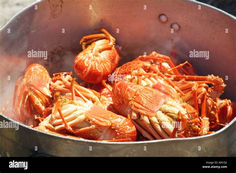 La cuisson des écrevisses dans le moule sur feu ouvert Beach restaurant