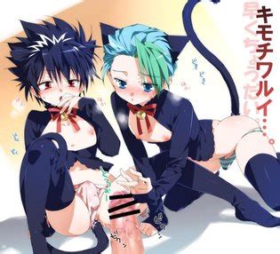 NEKO TRAPS Luscious Hentai Manga Porn