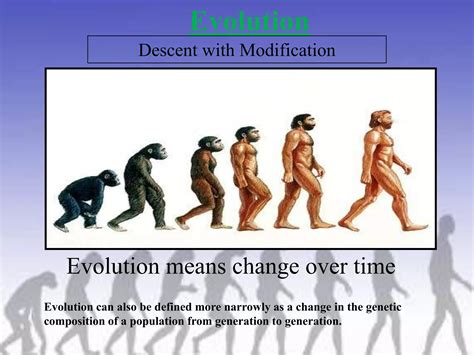 Evolution | PPTX