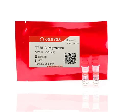 T7 RNA Polymerase | Canvax