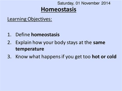 Homeostasis Simple Ht Teaching Resources