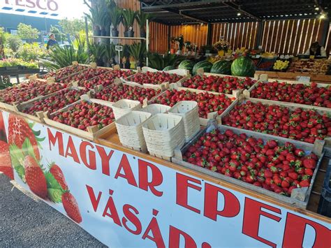 Szalay Bolt - Biatorbágy added... - Szalay Bolt - Biatorbágy