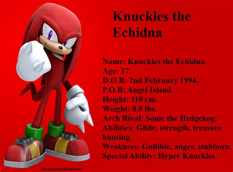 knuckles_the_echidna_ | Echidna, Knuckle, Gullible