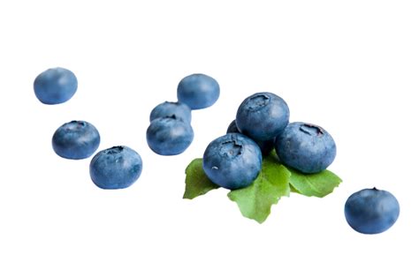 berry png transparent background 29228595 PNG