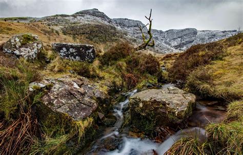 Rocknear And Far Stream In The Brecon Beacons David Mann Flickr