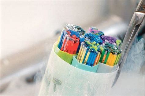 Mariage Gay La Procr Ation Assist E Divise La Gauche