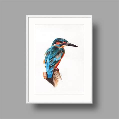 Kingfisher Drawing By Daria Maier Saatchi Art