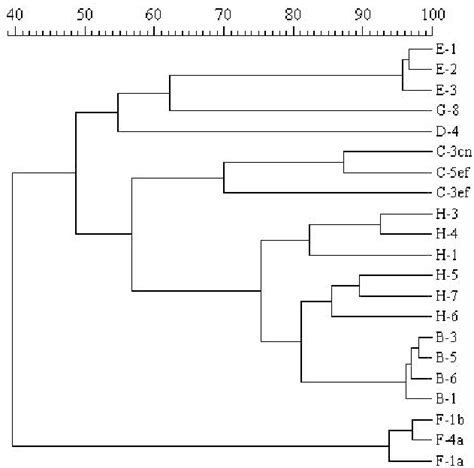 Dendrogram Showing The Percent Similarity Of The Srflp Patterns